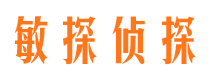 黑水侦探公司